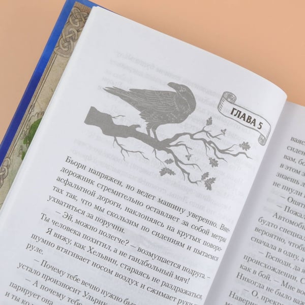 Дополнительное изображение книги «Реннвинд. Проклятие дня»