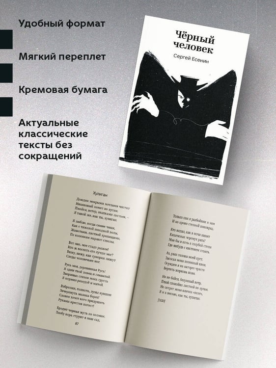 Дополнительное изображение книги «Черный человек»