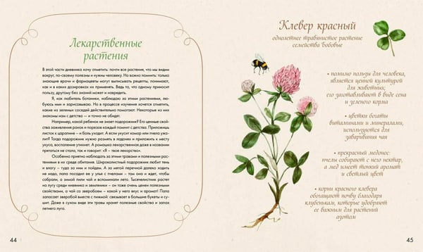 Дополнительное изображение книги «Акварельный лес. Ботанический дневник для любителей природы и акварели»