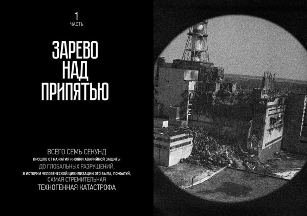 Дополнительное изображение книги «Правда о Чернобыле. Свидетельства живых и мёртвых»