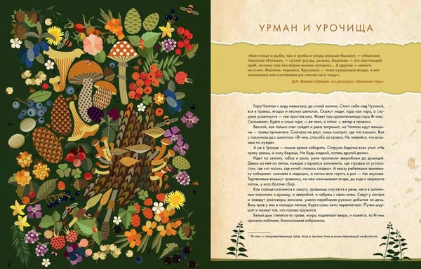 Дополнительное изображение книги «Свет таёжного окна. Уральская кухня: от печи к духовке и от бабушки к внучке»