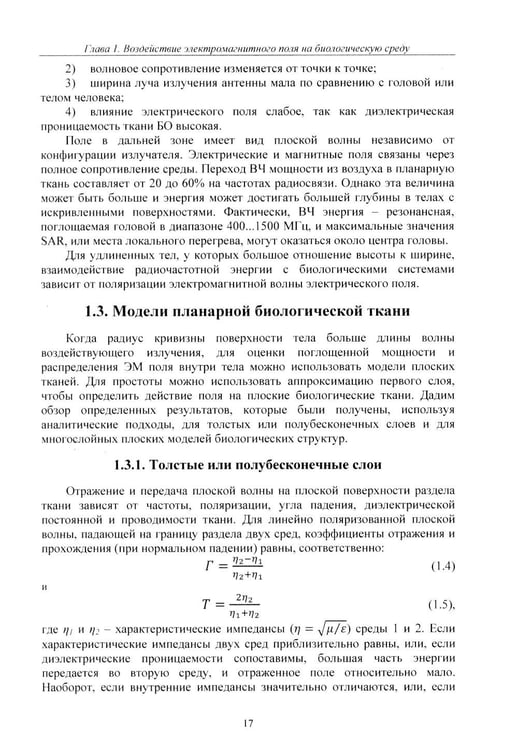 Дополнительное изображение книги «Расчет тепловых полей под воздействием СВЧ излучения»