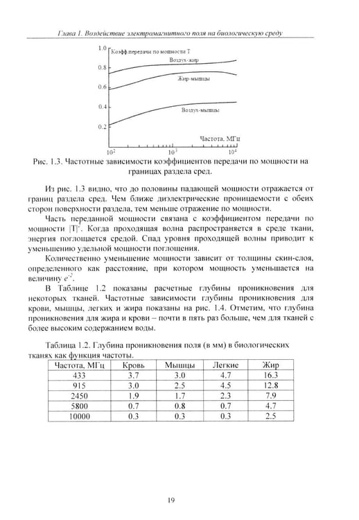 Дополнительное изображение книги «Расчет тепловых полей под воздействием СВЧ излучения»