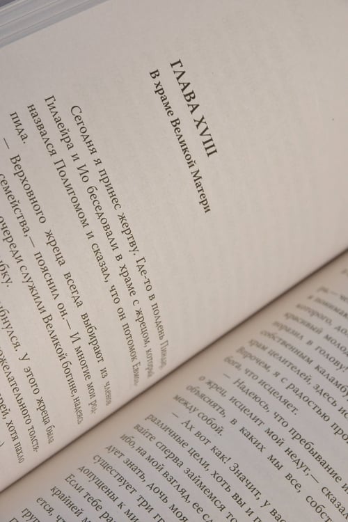 Дополнительное изображение книги «Воин тумана»