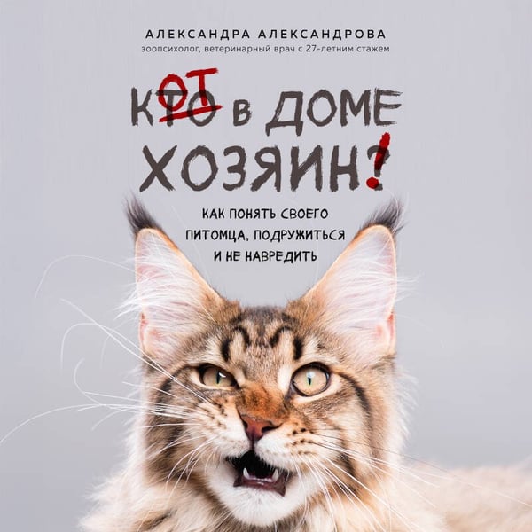 Дополнительное изображение книги «Кот в доме хозяин! Как понять своего питомца, подружиться и не навредить (новое оформление)»