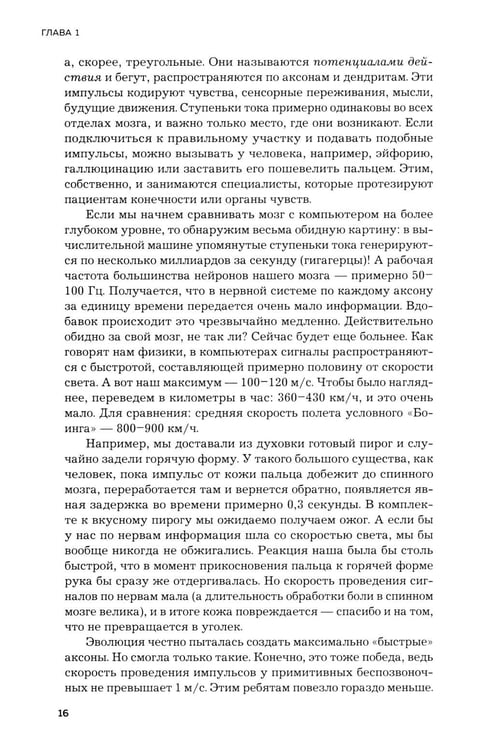 Дополнительное изображение книги «Мозг и его потребности. 2.0 от питания до признания»
