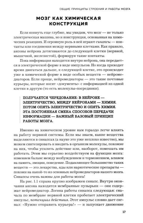 Дополнительное изображение книги «Мозг и его потребности. 2.0 от питания до признания»