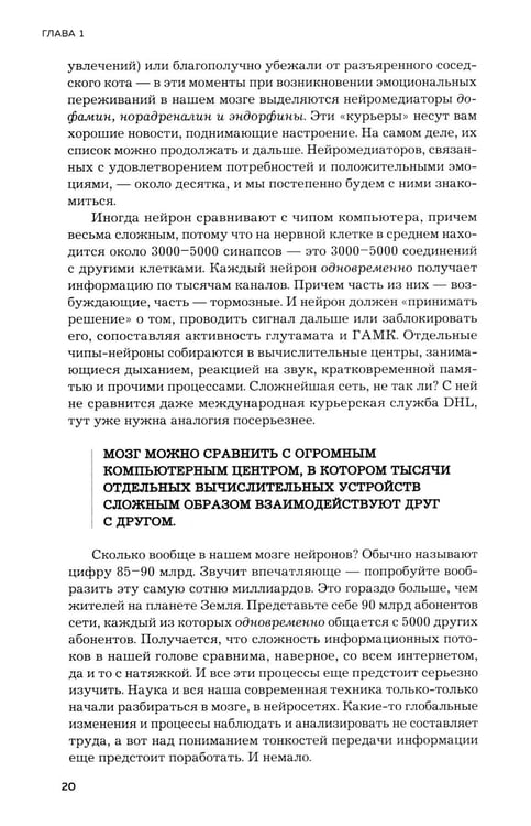 Дополнительное изображение книги «Мозг и его потребности. 2.0 от питания до признания»
