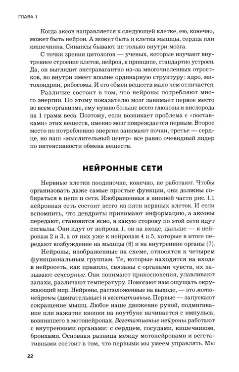 Дополнительное изображение книги «Мозг и его потребности. 2.0 от питания до признания»
