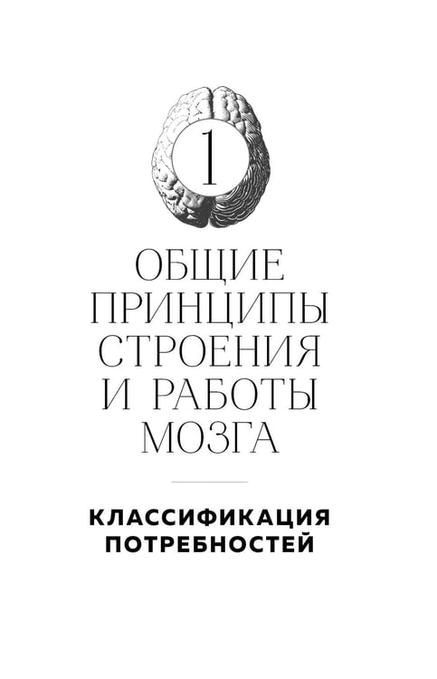 Дополнительное изображение книги «Мозг и его потребности. 2.0 от питания до признания»