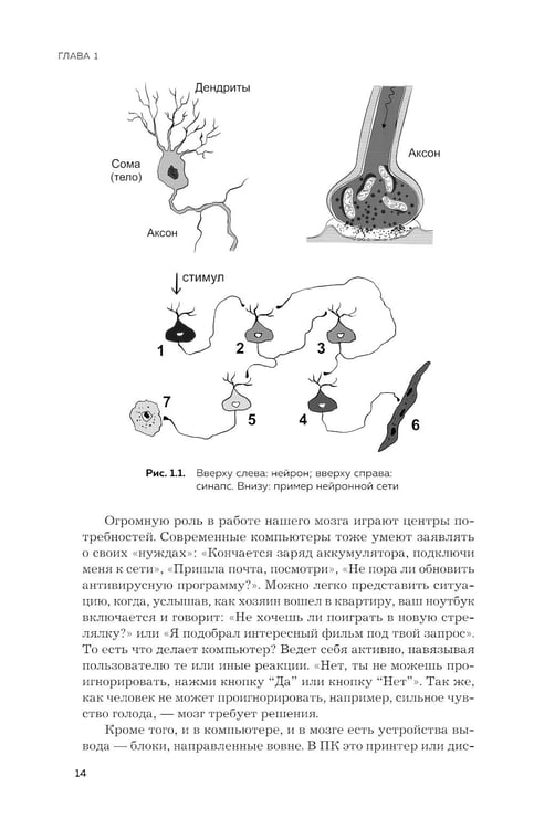 Дополнительное изображение книги «Мозг и его потребности. 2.0 от питания до признания»