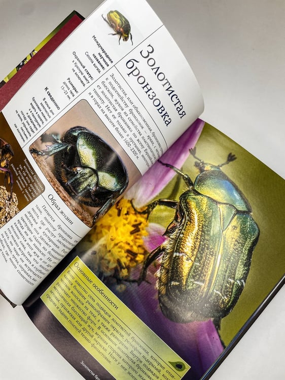 Дополнительное изображение книги «Насекомые. Иллюстрированный гид»