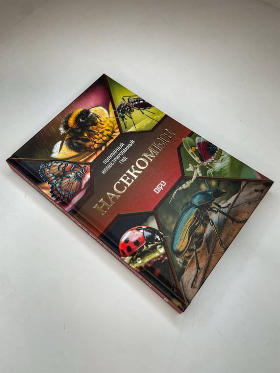 Дополнительное изображение книги «Насекомые. Иллюстрированный гид»