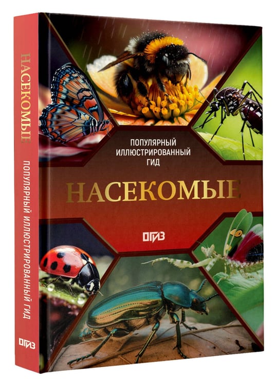 Дополнительное изображение книги «Насекомые. Иллюстрированный гид»