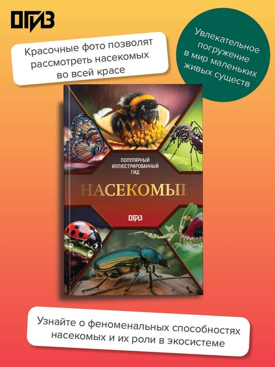 Дополнительное изображение книги «Насекомые. Иллюстрированный гид»