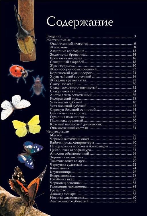 Дополнительное изображение книги «Насекомые. Иллюстрированный гид»