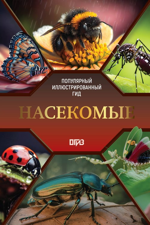 Обложка книги «Насекомые. Иллюстрированный гид» — Спектор Анна Артуровна, ISBN 9785171841959