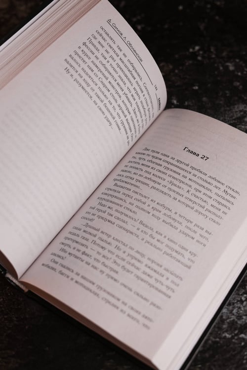 Дополнительное изображение книги «Закон выжженной земли»