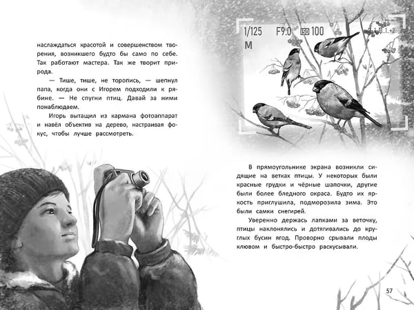 Дополнительное изображение книги «Не забывай меня, лети!»