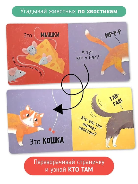 Дополнительное изображение книги «Книга картонка "Кто там?"»