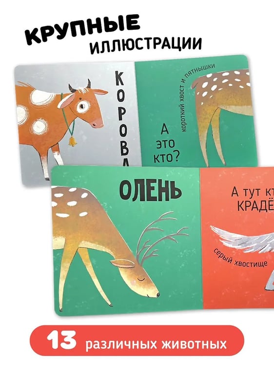 Дополнительное изображение книги «Книга картонка "Кто там?"»