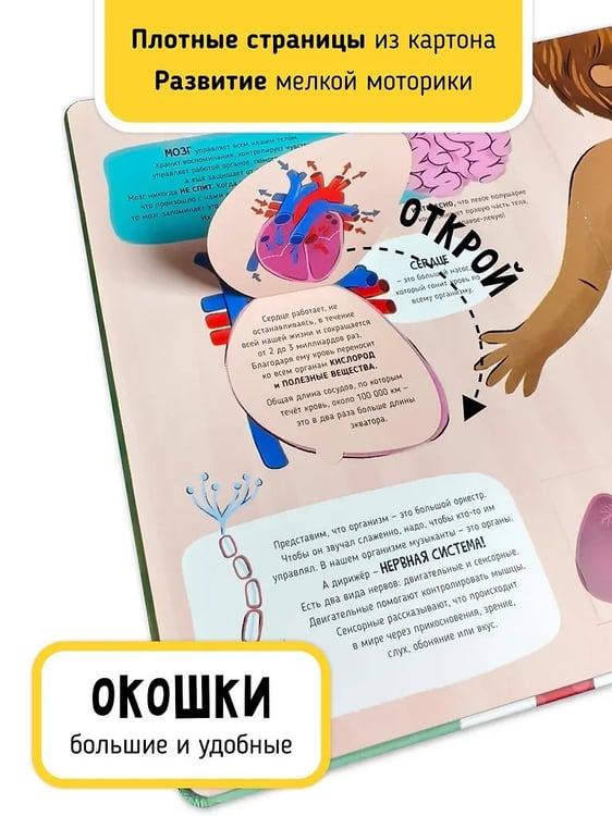 Дополнительное изображение книги «Мои первые открытия. Как это работает?»