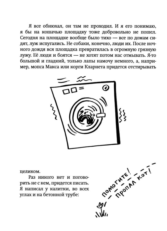 Дополнительное изображение книги «Где кот?!»