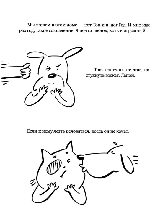 Дополнительное изображение книги «Где кот?!»