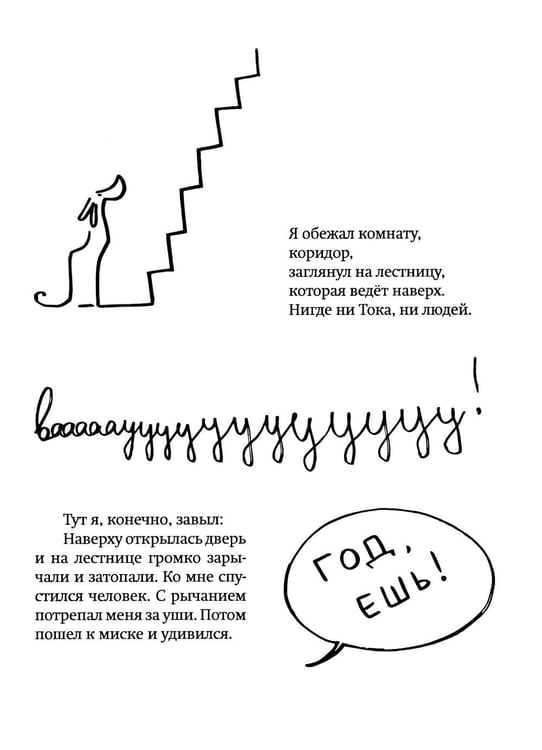 Дополнительное изображение книги «Где кот?!»