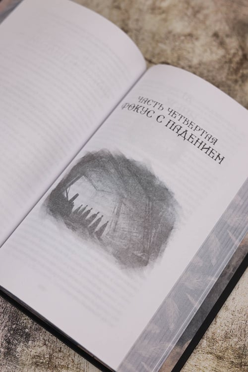 Дополнительное изображение книги «Шестерка воронов. В переводе Н. Осояну»