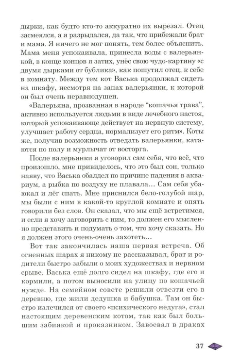 Дополнительное изображение книги «Необычные приключения мальчика и лайчонка Кольчика в мире огненных сфер»
