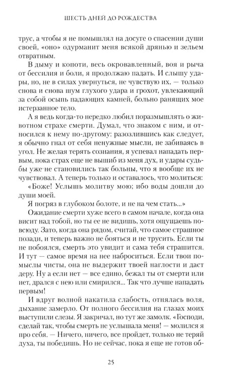 Дополнительное изображение книги «Шесть дней до Рождества»