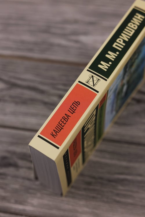 Дополнительное изображение книги «Кащеева цепь»