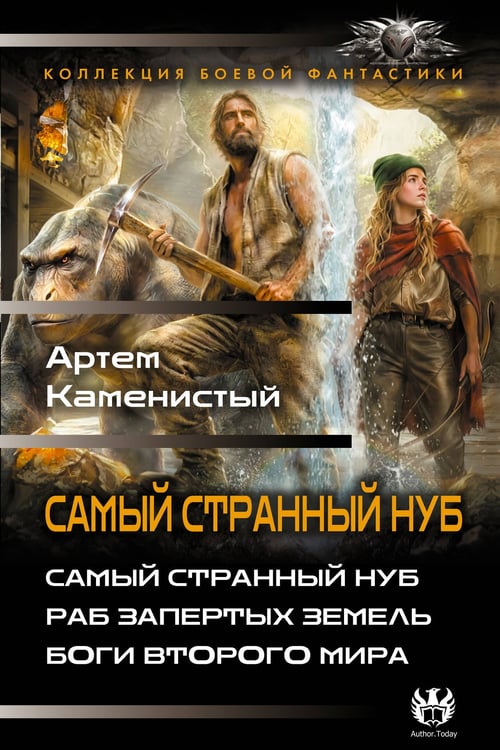Обложка книги «Самый странный нуб» — Каменистый Артем, ISBN 9785171848217