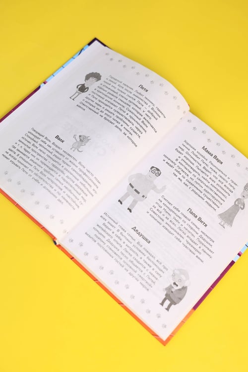 Дополнительное изображение книги «Приключения Пети и Волка. Дело о старинном сундуке»