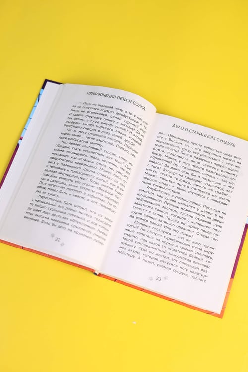 Дополнительное изображение книги «Приключения Пети и Волка. Дело о старинном сундуке»