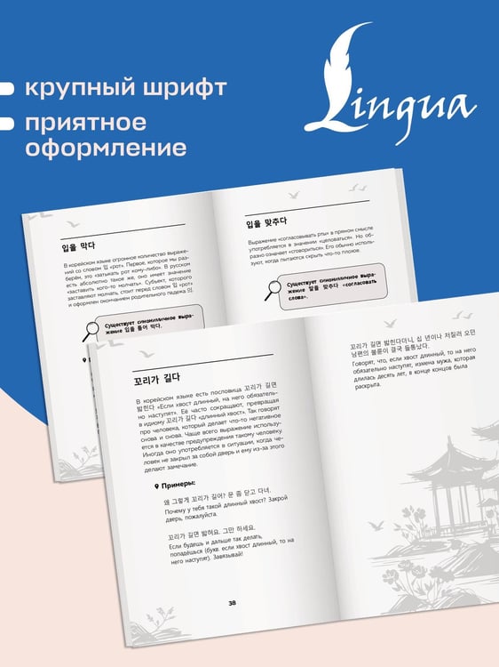 Дополнительное изображение книги «Корейский язык. Идиомы»
