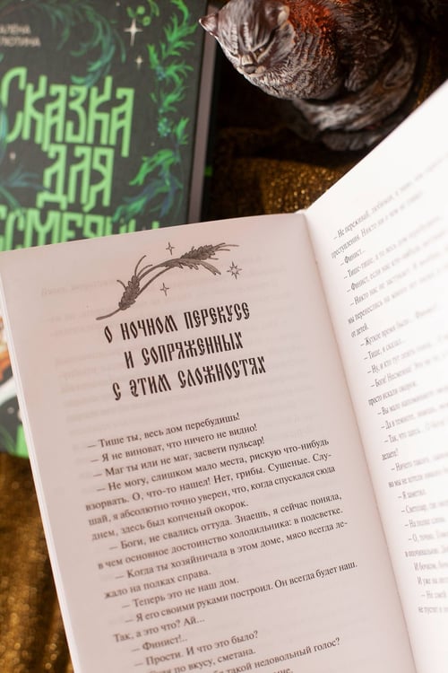 Дополнительное изображение книги «Сказка для Несмеяны»
