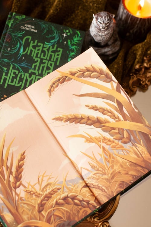 Дополнительное изображение книги «Сказка для Несмеяны»
