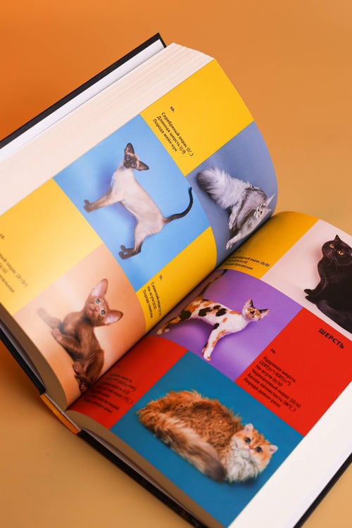 Дополнительное изображение книги «Кошки, гены и эволюция»