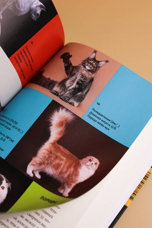 Дополнительное изображение книги «Кошки, гены и эволюция»