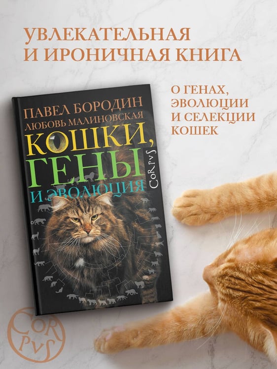 Дополнительное изображение книги «Кошки, гены и эволюция»