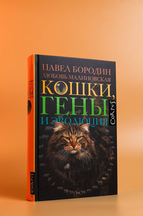 Дополнительное изображение книги «Кошки, гены и эволюция»