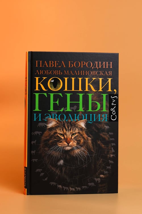 Дополнительное изображение книги «Кошки, гены и эволюция»