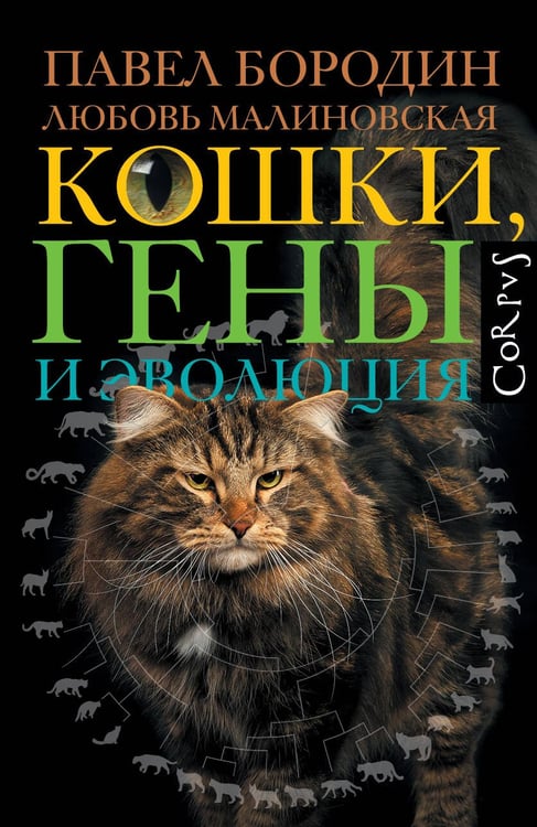 Обложка книги «Кошки, гены и эволюция» — Бородин Павел Михайлович;Малиновская Любовь П., ISBN 9785171793296