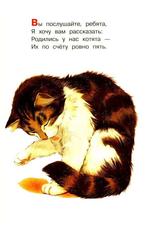 Дополнительное изображение книги «Котята»