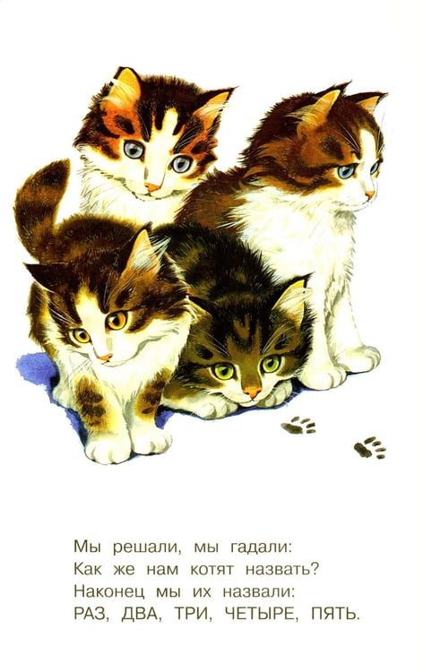 Дополнительное изображение книги «Котята»