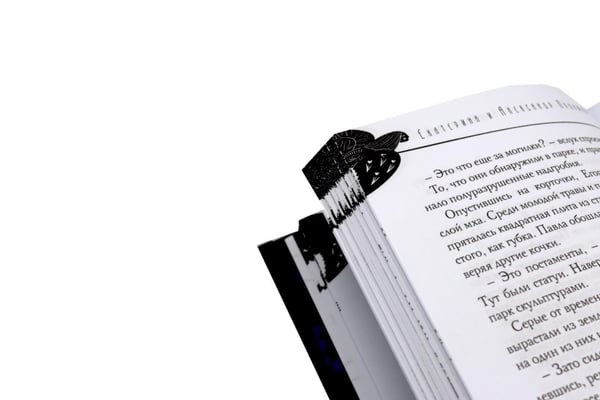 Дополнительное изображение книги «"Калинов мост + блокнот"»