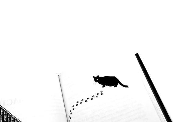 Дополнительное изображение книги «Да хранят тебя боги + блокнот»