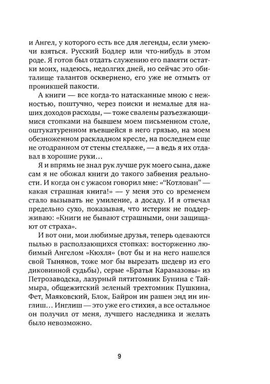 Дополнительное изображение книги «Испепеленный»